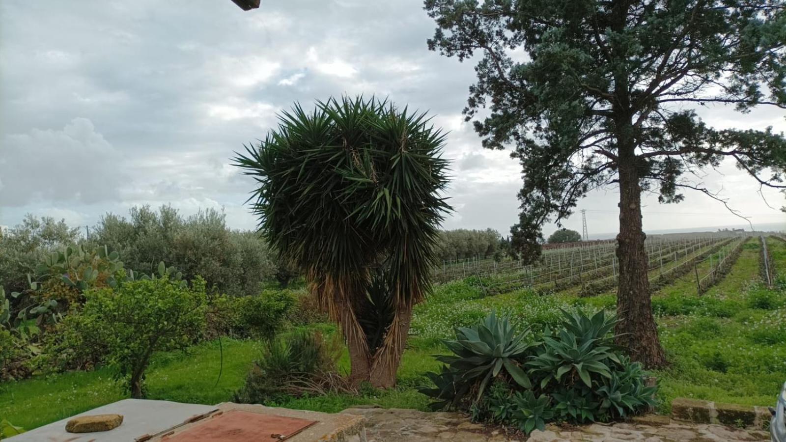 Casa Bouganville Villetta Tra Le Vigne E Il Mare Менфі Екстер'єр фото